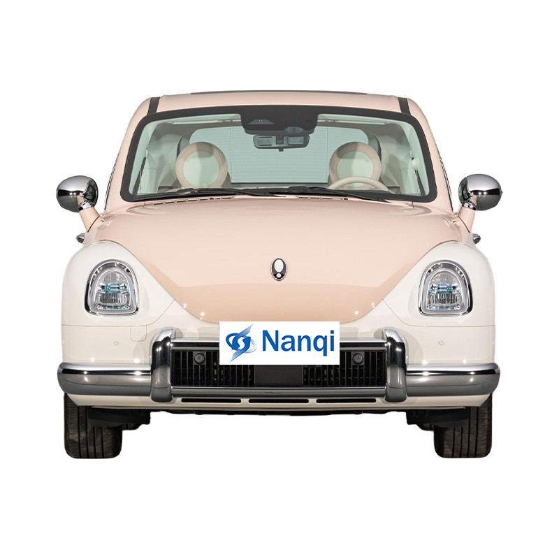 오라 발레 고양이 500km 순수 전기 차량 5도어 5석 헤치백