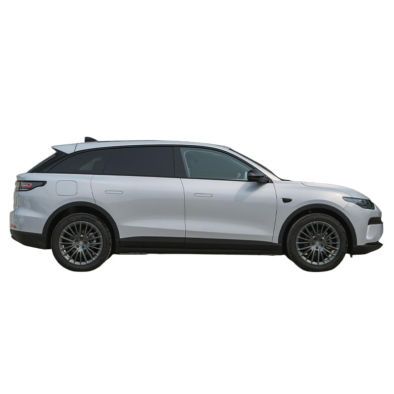 주식 중 핫 판매 Suv Lingpao C11 신 에너지 차량 리프모터 C11 전기 자동차