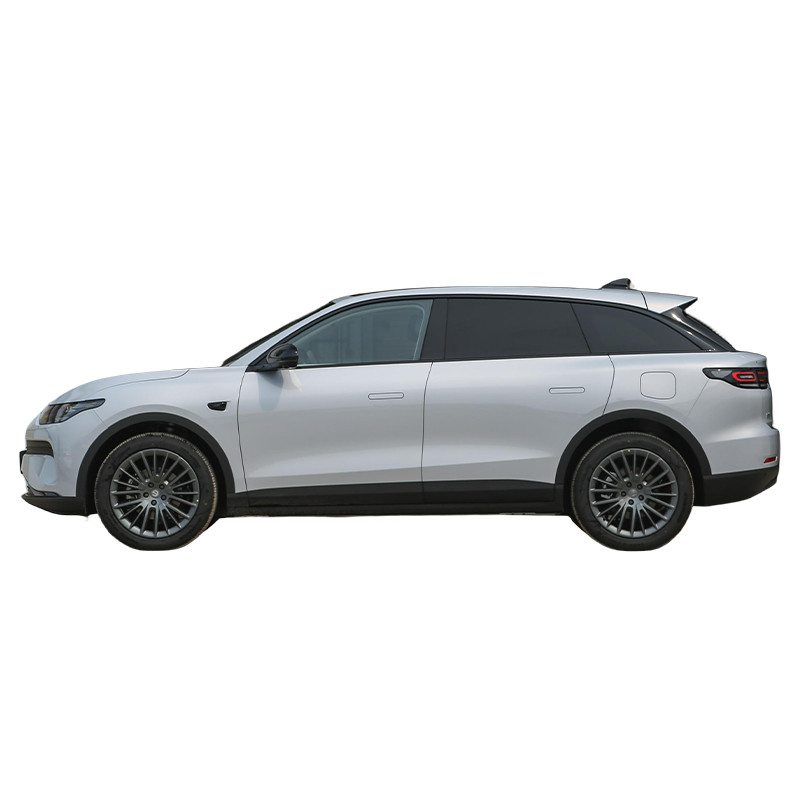 호고스 주식 핫 판매 Suv Lingpao C11 신 에너지 차량 리프 모터 C11 전기 자동차